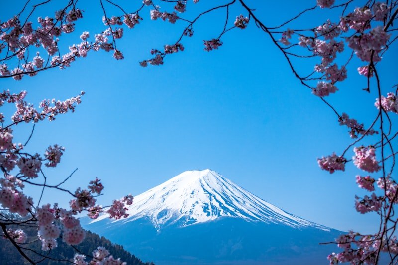 fuji